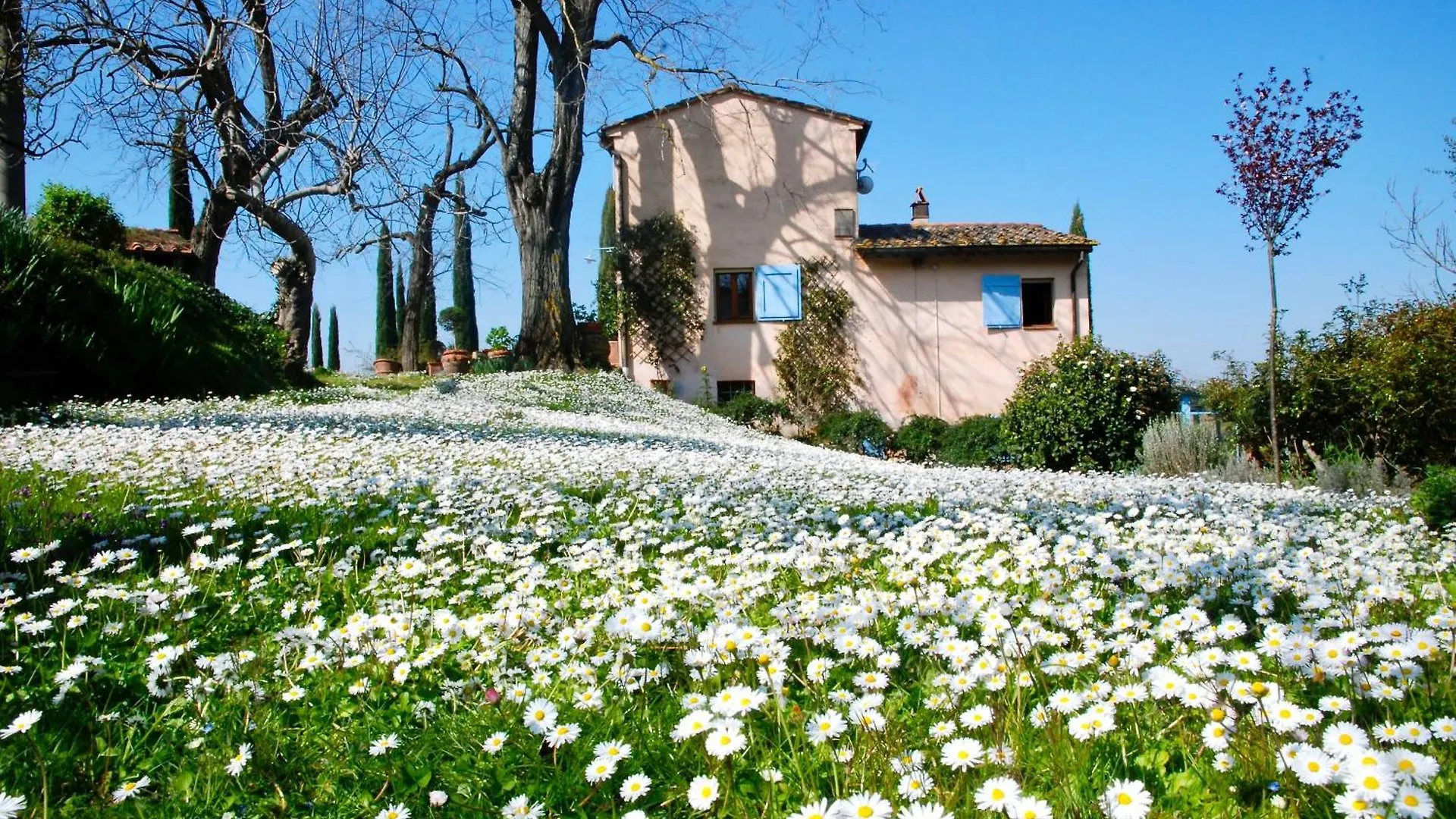Podere Le Murella Appartamento Alba Palaia 0*,  Italy