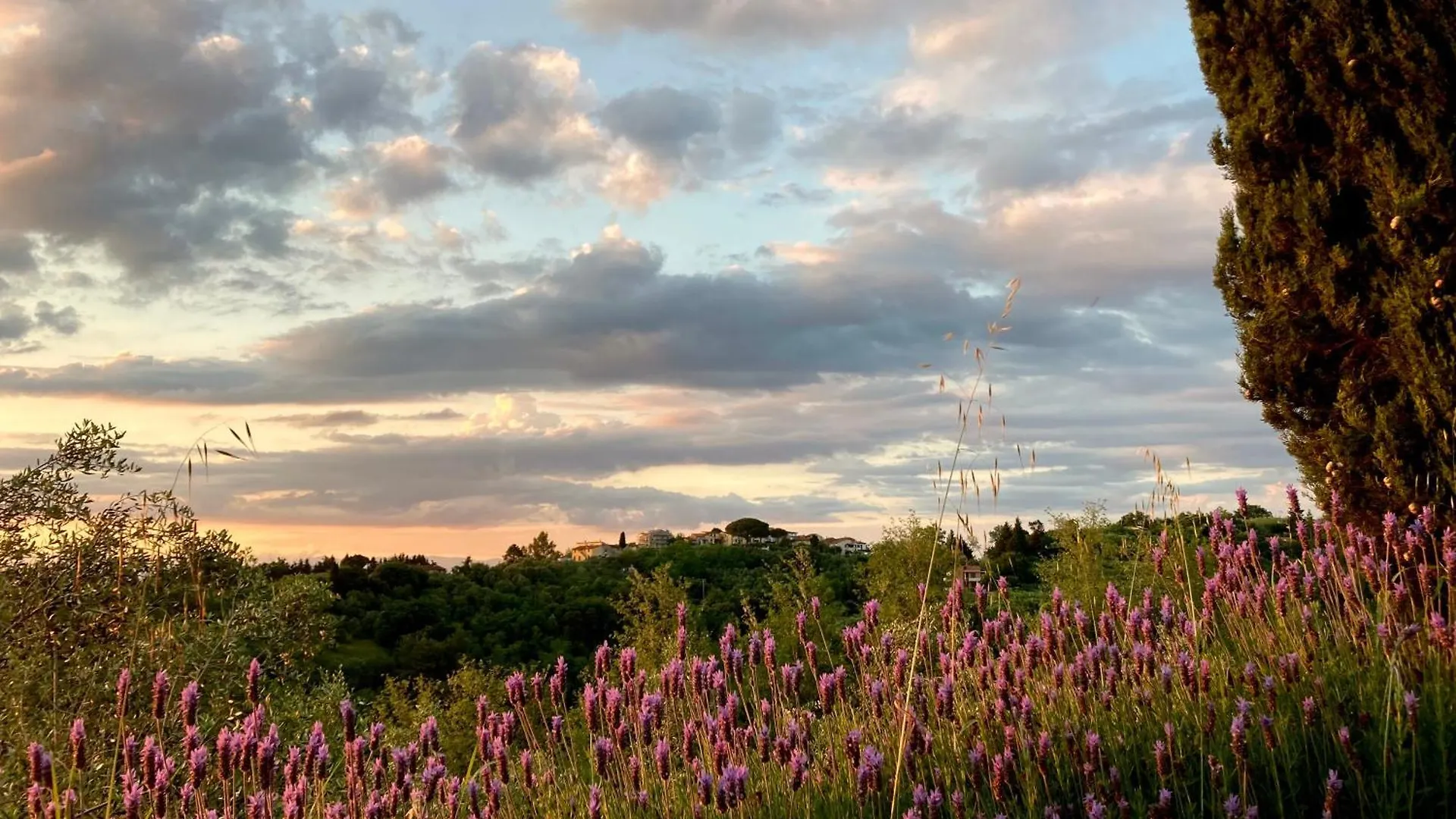 Appartamento Con Terrazza Privata E Giardino Vicino A Pisa E Firenze Palaia 0*,  Italy