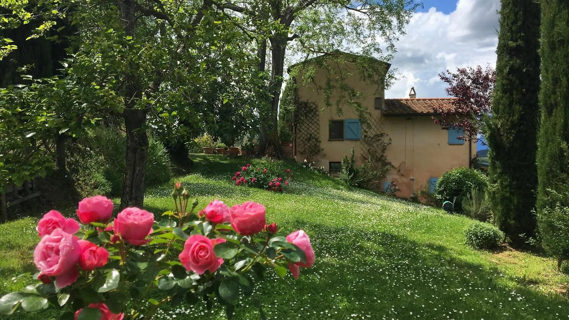 Appartamento Con Terrazza Privata E Giardino Vicino A Pisa E Firenze Palaia 0*,