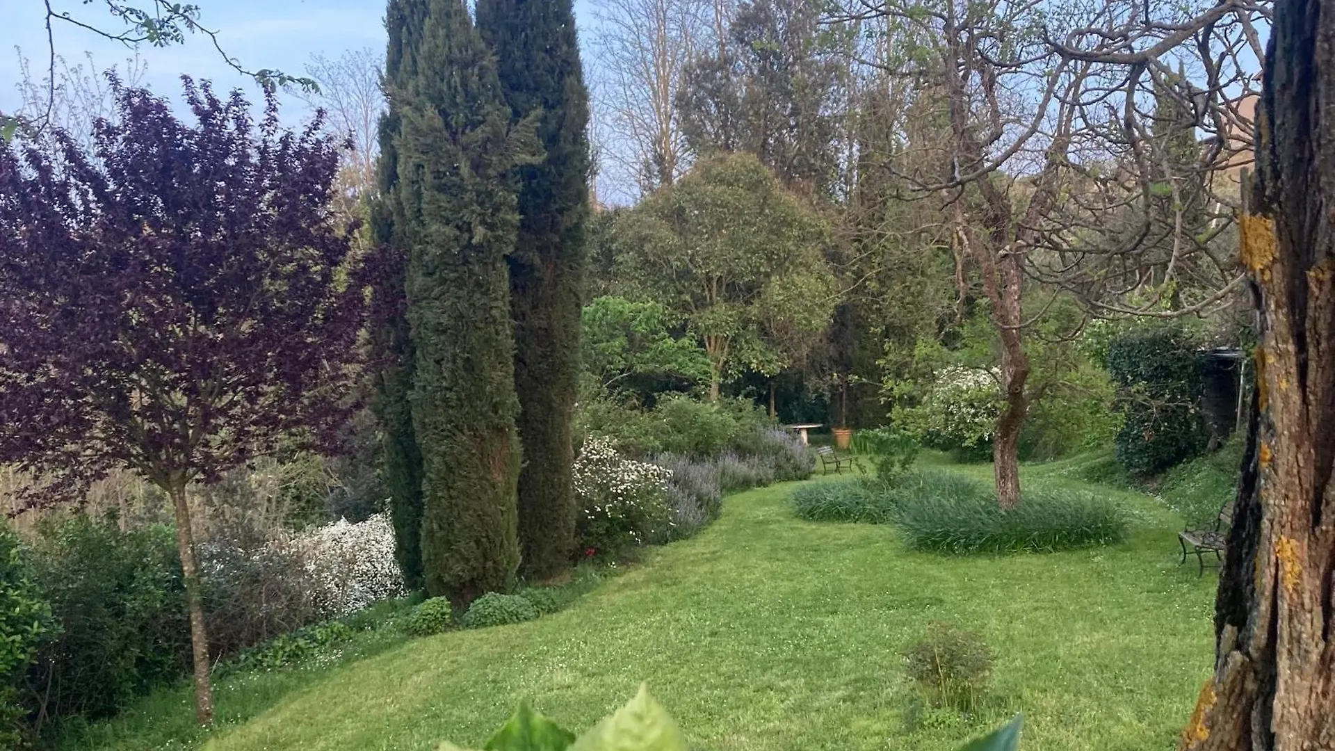 Appartamento Con Terrazza Privata E Giardino Vicino A Pisa E Firenze Palaia Apartment