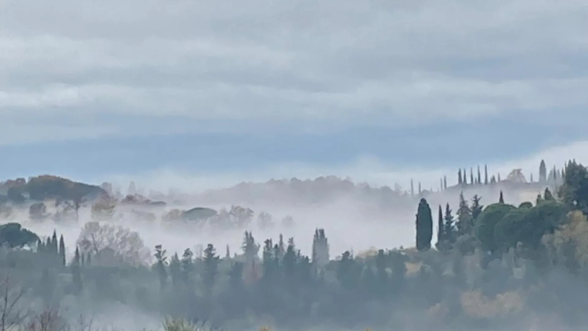 Appartamento Con Terrazza Privata E Giardino Vicino A Pisa E Firenze Palaia