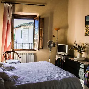 Sunflower Palaia